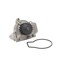 Dayco Water Pump, DP019 DP019 - alternate 2